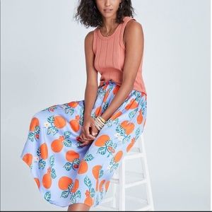 NWT Anthropology coreylynncalter skirt- XXS